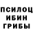 Псилоцибиновые грибы ЛСД bernadette Pergolese