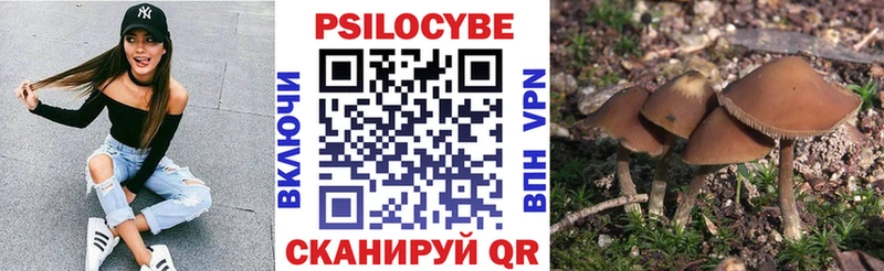 Псилоцибиновые грибы GOLDEN TEACHER  мега как зайти  Трёхгорный 